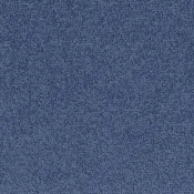 8803