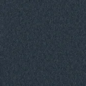 Płytki dywanowe Desso Essence Pure 8912