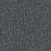 Płytki dywanowe Desso Evolve 9024