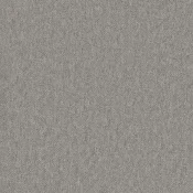 Płytki dywanowe Desso Essence Pure 9044