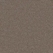 Płytki dywanowe Desso Emerge 9096