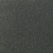 Wykładzina dywanowa w rolce Desso Asteranne 9501