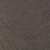 Wykładzina dywanowa w rolce Desso Asteranne 9532