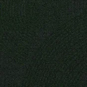 9850