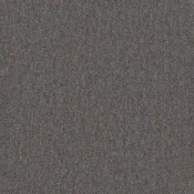 Płytki dywanowe Desso Essence Pure 9960