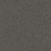 Płytki dywanowe Desso Emerge 9960