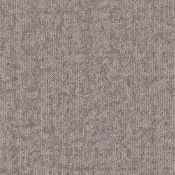 9961