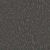 Płytki dywanowe Desso Evolve 9970