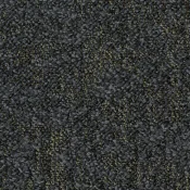 9975