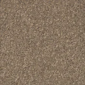 AD31 2023