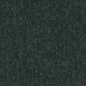 AD31 7921