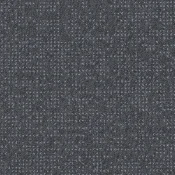 Płytki dywanowe Desso Enlaced AD43 8903