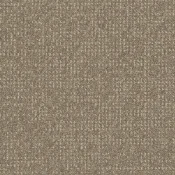 Płytki dywanowe Desso Enlaced AD43 9096