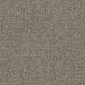 Płytki dywanowe Desso Enlaced AD43 9525