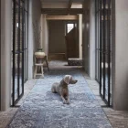 Wykładzina dywanowa w rolce Desso & Ex | Wykładziny Warszawa