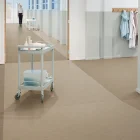 Wykładzina linoleum Forbo Marmoleum FR | Wykładziny Warszawa