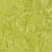 Wykładzina linoleum Forbo Marmoleum Marbled Real 3224