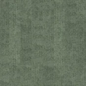 149001_Ombre boreal