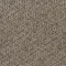 156005 Panama clove