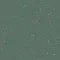172362 kelp