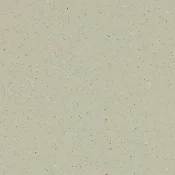 172472 white moss
