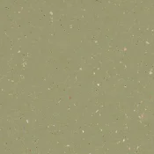 172542 moss