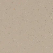 172842 salmon