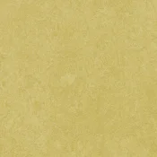 Wykładzina linoleum Forbo Marmoleum Marbled Fresco 3259
