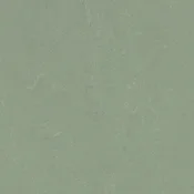 Wykładzina linoleum Forbo Marmoleum Solid Concrete 3750