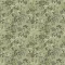 254102 Elderflower Pistachio