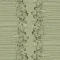 254202 Elder Border Pistachio