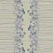 254203 Elder Border Blueberry