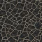 262401 Red rock Black Jack