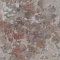 264301 Natural Bloom coral