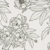 Wykładzina ścienna Forbo Onyx+ 26640 peony grey