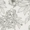 26640 peony grey