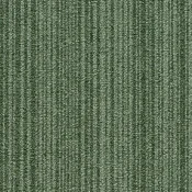 Płytki dywanowe Forbo Tessera Layout & Outline 3111 peapod