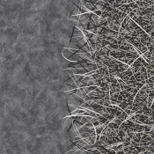 Wykładzina flokowana Forbo Flotex By Starck 312001 Vortex white A2