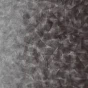 Wykładzina flokowana Forbo Flotex By Starck 322008 Artist anthracite_silver B2