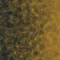324011 Artist olive_gold B4