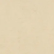 Wykładzina linoleum Forbo Marmoleum Authentic 3858 Barbados