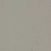 Wykładzina elastyczna PCW Forbo Sphera Energetic 2026 50258 elephant