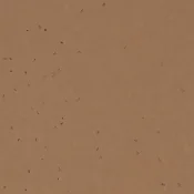 Wykładzina elastyczna PCW Forbo Sphera Energetic 2026 50270 masala