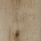 5103AD3 golden harvest oak (100x16.6 cm)