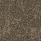 Płytki dywanowe Forbo Tessera Tranquillity 5110 cocoa chill