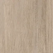Panele i płytki LVT Forbo Enduro Dryback 0.3 DR3 69124DR3 light oak