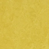 83284