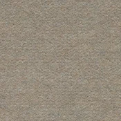 Wykładzina dywanowa w rolce Forbo Showtime Colour 900263 sable