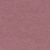 Wykładzina dywanowa w rolce Forbo Showtime Colour 900266 rose