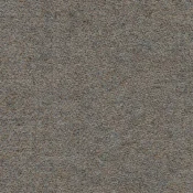 Wykładzina dywanowa w rolce Forbo Showtime Colour 900273 sandstone